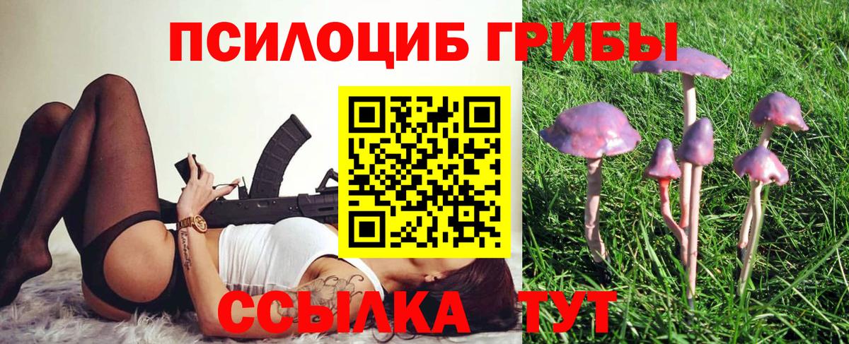 Галлюциногенные грибы GOLDEN TEACHER  Псилоцибиновые грибы прущие грибы  Сибай  где найти наркотики  Вход с VPN 